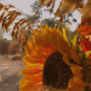 Meet your Posher, Angelee